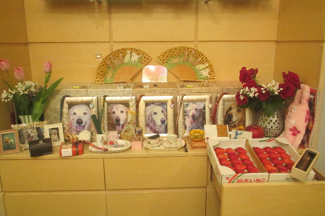 ファイル 3475-3.jpg