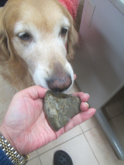 ファイル 3475-4.jpg