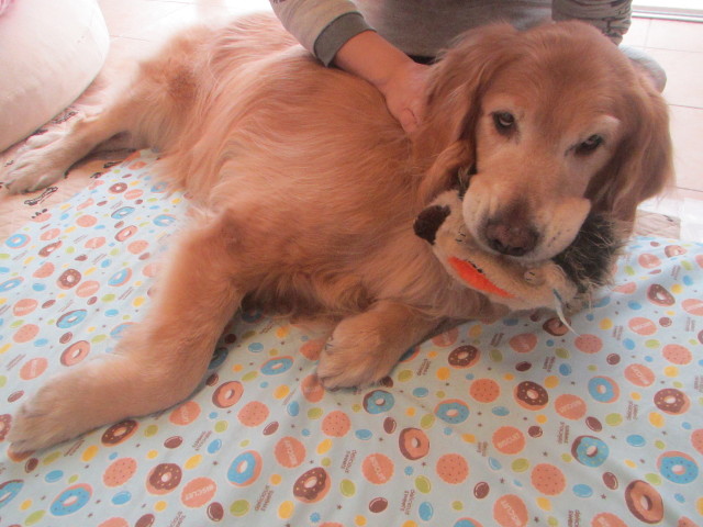 ファイル 3475-5.jpg