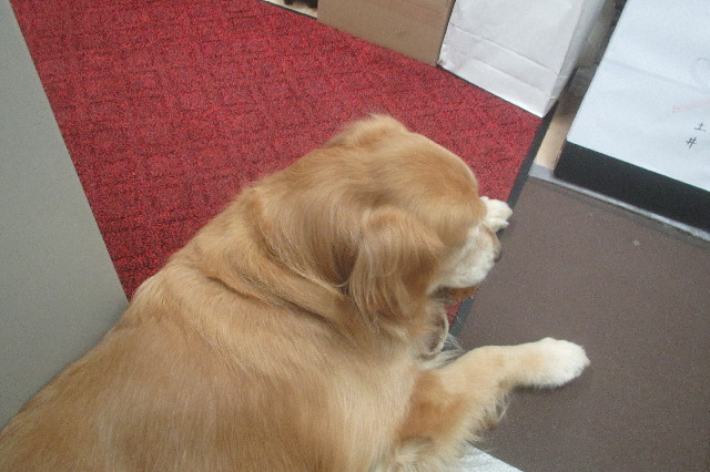 ファイル 3476-4.jpg