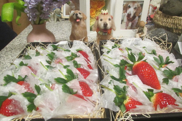 ファイル 3479-2.jpg