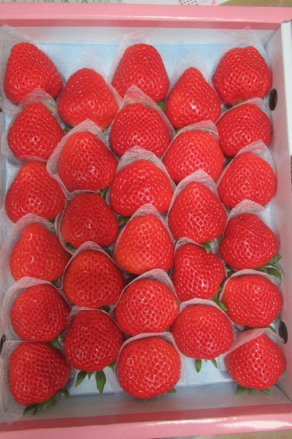 ファイル 3479-3.jpg