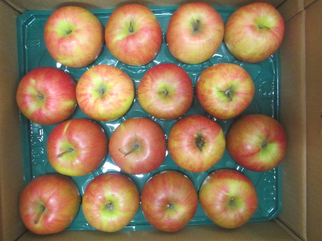 ファイル 3479-4.jpg