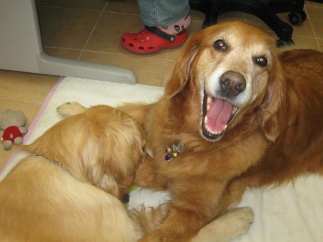 ファイル 348-4.jpg