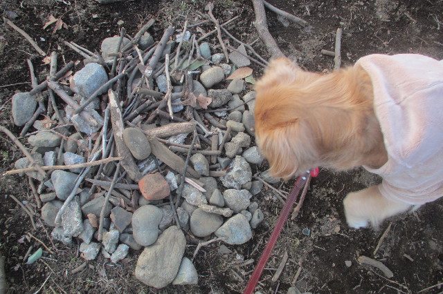 ファイル 3482-2.jpg