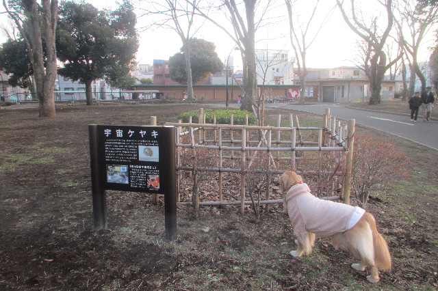 ファイル 3482-3.jpg