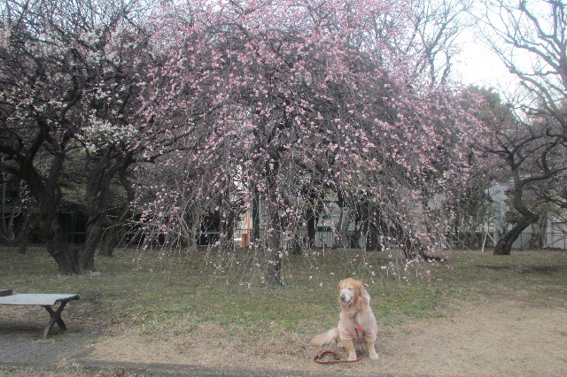 ファイル 3483-4.jpg