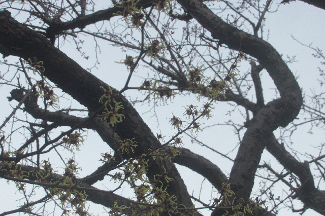 ファイル 3483-5.jpg