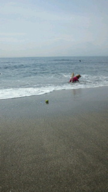 ファイル 3485-2.jpg