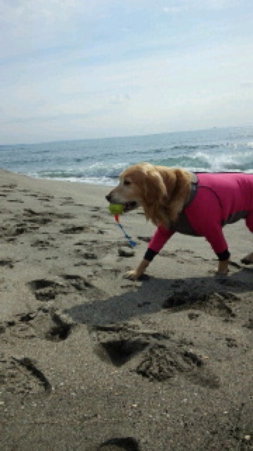 ファイル 3485-4.jpg