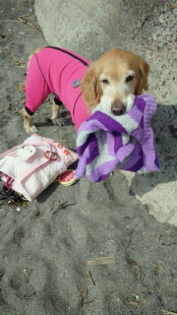 ファイル 3485-5.jpg