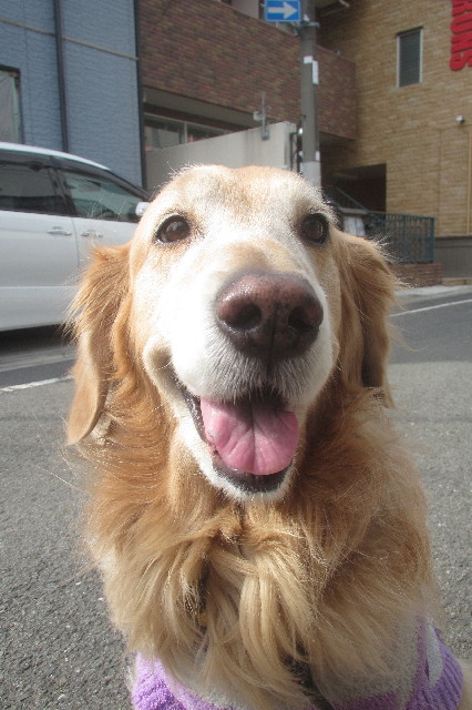 ファイル 3486-2.jpg