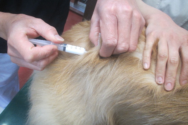 ファイル 3489-2.jpg