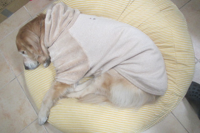 ファイル 3489-4.jpg