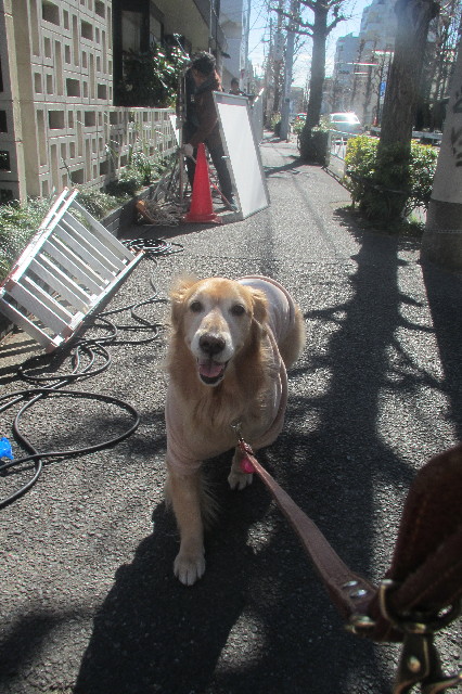 ファイル 3489-5.jpg