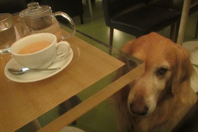 ファイル 3490-2.jpg