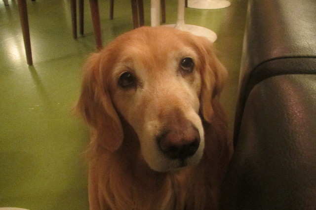 ファイル 3490-4.jpg