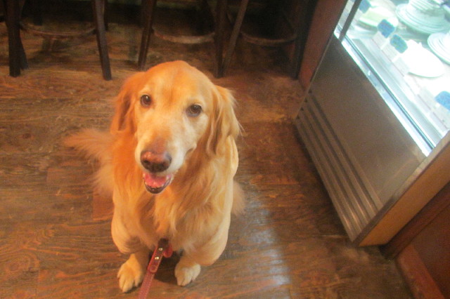 ファイル 3490-5.jpg