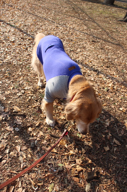 ファイル 3492-1.jpg