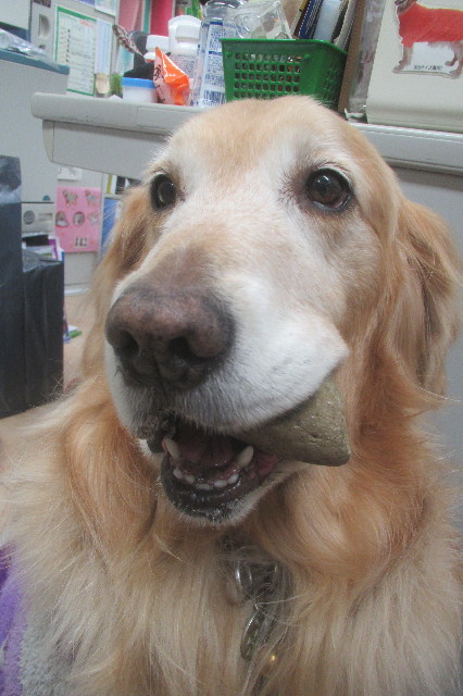 ファイル 3492-2.jpg