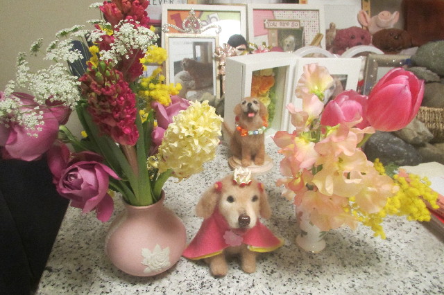 ファイル 3494-1.jpg