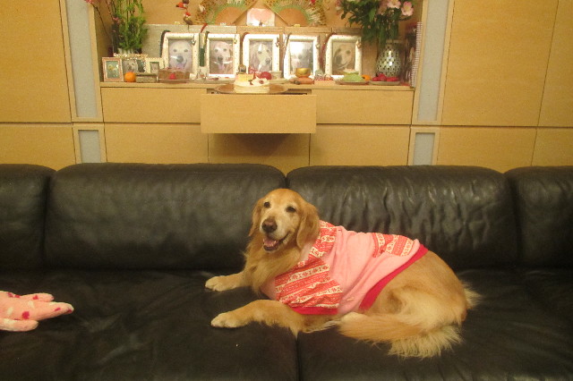 ファイル 3497-3.jpg