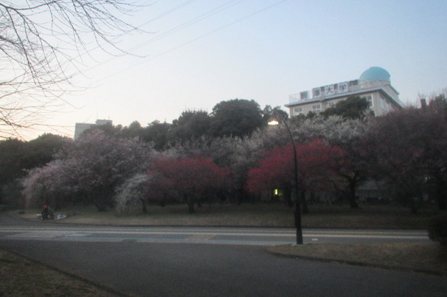 ファイル 3499-1.jpg