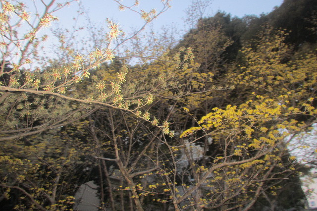 ファイル 3499-5.jpg