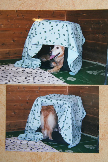 ファイル 350-2.jpg