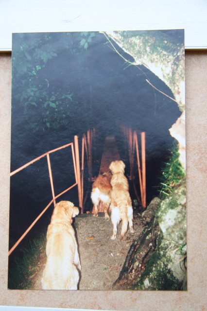 ファイル 350-4.jpg