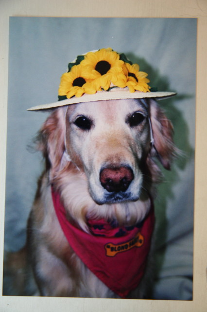 ファイル 350-5.jpg