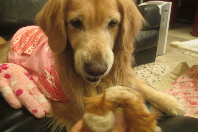 ファイル 3500-3.jpg