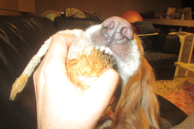 ファイル 3500-4.jpg