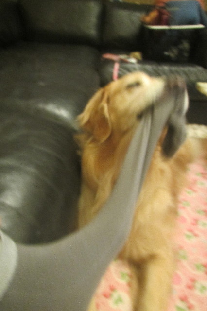 ファイル 3500-5.jpg