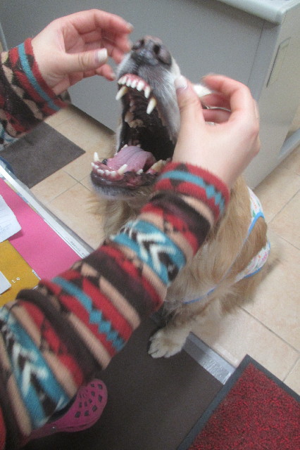 ファイル 3504-1.jpg