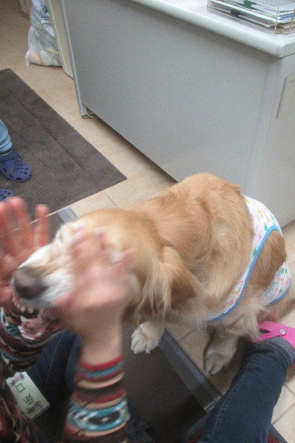 ファイル 3504-2.jpg