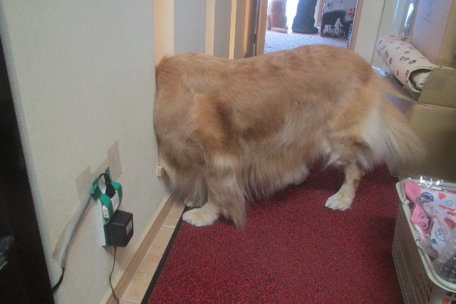 ファイル 3505-1.jpg