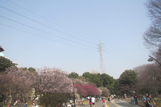 ファイル 3506-1.jpg