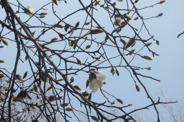 ファイル 3507-1.jpg