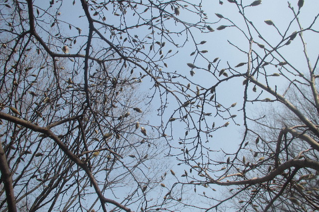 ファイル 3507-3.jpg