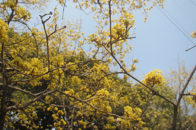 ファイル 3507-5.jpg