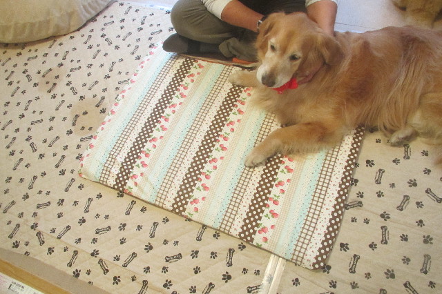 ファイル 3510-2.jpg