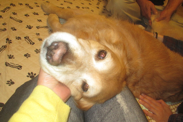 ファイル 3510-3.jpg