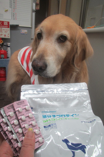 ファイル 3512-2.jpg