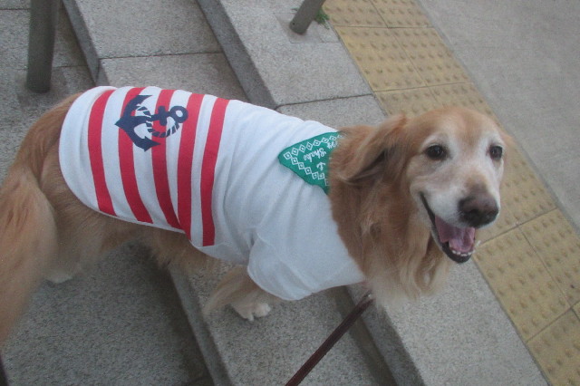 ファイル 3512-5.jpg