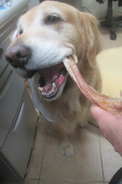 ファイル 3514-4.jpg