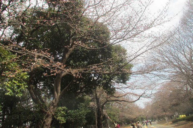 ファイル 3518-2.jpg