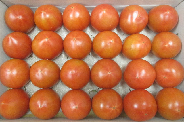 ファイル 3519-4.jpg