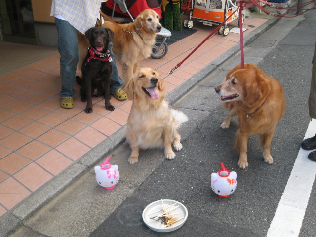 ファイル 352-1.jpg