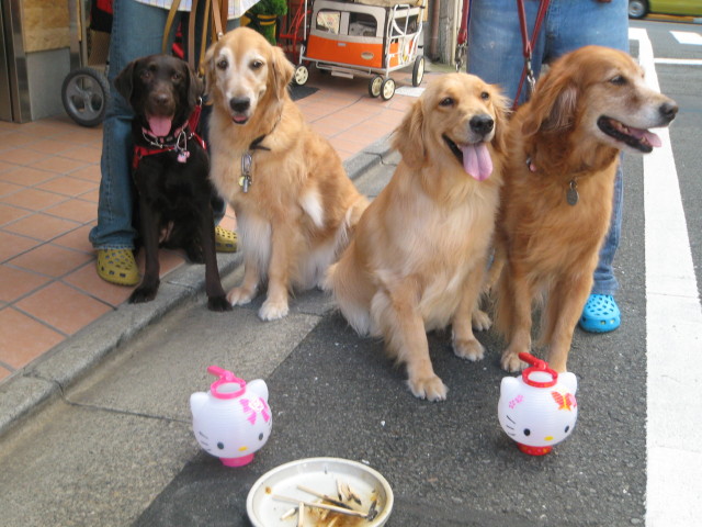 ファイル 352-2.jpg